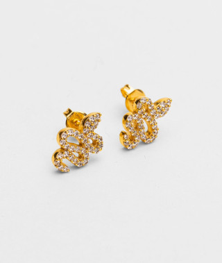 Puces d'oreilles serpent blanc