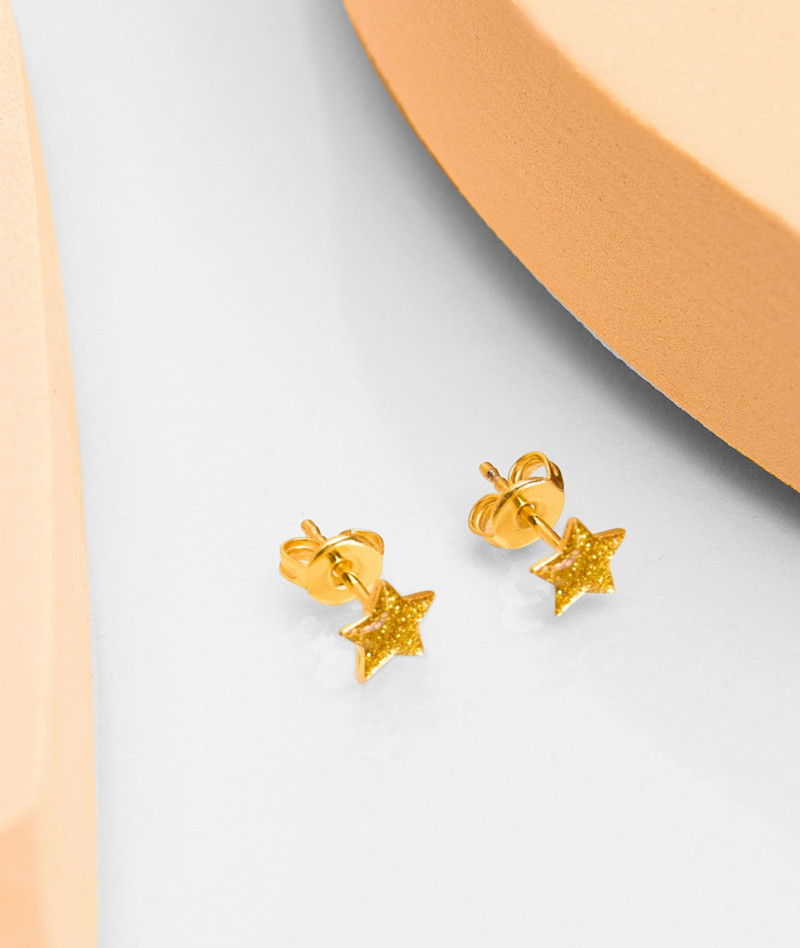 Puces d'oreilles etoile paillete